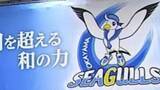 「【エリアのスポーツの結果】　岡山シーガルズ・岡山リベッツ・香川ファイブアローズ・カマタマーレ讃岐」の画像1