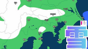 【雪】東京23区で1センチの降雪予報　関東地方では30日明け方にかけて平野部でも積雪となるところが…　東京、横浜、千葉、埼玉、つくば、栃木、群馬、山梨の2月3日（火）までの雪雨シミュレーション【気象庁 29日午後5時30分更新】