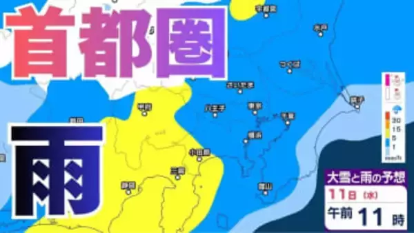 【今後の雪雨】あす11日・建国記念の日「関東は広い範囲で本格的な雨の見込み」東京・横浜・千葉・さいたま・つくば・前橋・宇都宮・甲府・長野　10日（火）～16日（月）雪雨シミュレーション　【気象庁/10日現在　関東甲信】