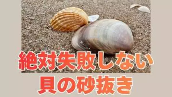 【潮干狩り】絶対失敗しない「貝の砂抜き」死んだ貝の見分け方は？アサリは3時間 ハマグリは6時間以上「海水を持ち帰る」のがコツ【大潮】
