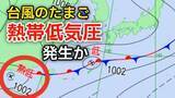 「【最新情報】新たな“台風のたまご”「熱帯低気圧」が今夜までに日本の南西で発生か...今後の台風情報など気象情報に注意【気象庁 天気図】」の画像1