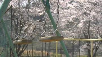 【小さなサクラの物語】廃校にたたずむサクラ　送り出した子どもたちの成長を喜ぶように今年も【岡山】