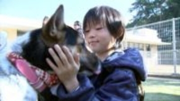 さぬき動物愛護センター「しっぽの森」で動物愛護フェスティバル「動物と触れ合って命の大切さを知る機会に」【香川】