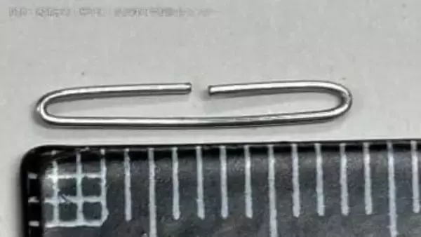 小学校の給食にホッチキスの針のようなものが混入　児童が器の底に発見　けがはなし　「年明け八菜うどん」の中から見つかる【香川】