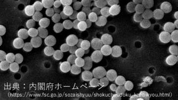 【食中毒】6月29日に提供されたおにぎりを食べた9人に症状　“黄色ブドウ球菌”による食中毒と断定　倉敷市保健所【岡山】