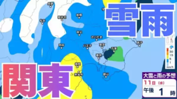 【雪雨の予想】東京・栃木・群馬・埼玉・茨城・千葉・神奈川・長野・山梨　8日（日）～11日（水・祝）1時間ごとの雪雨シミュレーション　「あす明け方にかけて交通障害に警戒」11日（水・祝）は関東の広範囲で雨か【気象庁/8日午後5時半更新】