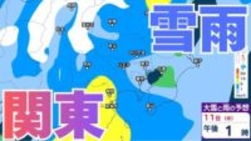【雪雨の予想】東京・栃木・群馬・埼玉・茨城・千葉・神奈川・長野・山梨　8日（日）～11日（水・祝）1時間ごとの雪雨シミュレーション　「あす明け方にかけて交通障害に警戒」11日（水・祝）は関東の広範囲で雨か【気象庁/8日午後5時半更新】