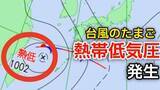 「【台風情報】新たな台風のたまご「熱帯低気圧」台湾付近から日本に…1時間に20キロの速さで進む…気象情報に注意【気象庁 天気図】」の画像1