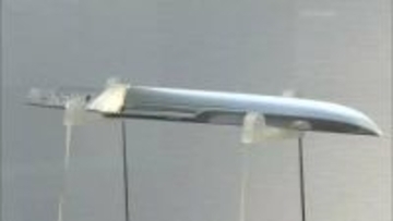 邪気を払う“お守り刀”の展覧会　短刀や脇差など約20点　2月2日まで【岡山】