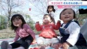 【サクラに集まる人たち…】どのような人がどんな思いでお花見を楽しんでいる？約200本のソメイヨシノが咲く早島公園【岡山】