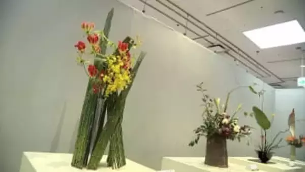 「岡山県華道連盟」16の流派が558点を展示　春を感じさせる鮮やかな色合い