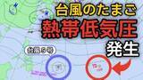 「【台風情報】「台風5号（ハグピート）」に続き「台風のたまご＝熱帯低気圧」が新たに発生...今後の進路、日本への影響は？8日（金）～13日（水）雨風シミュレーション画像で詳しくみる【気象庁 8日最新情報】」の画像1