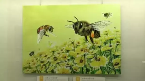 昆虫の絵本と標本を見比べ比較を楽しむ展示会　倉敷市立自然史博物館【岡山】