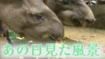 【懐かしい映像】「いい○○の日」いくつ知っていますか？