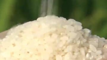 「令和の米騒動」今年も多くの人を翻弄・収束はいつに…消費者、生産者、販売店、JAに聞く【岡山】