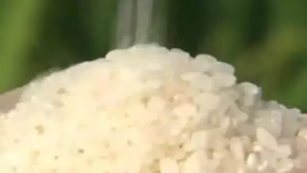 「令和の米騒動」今年も多くの人を翻弄・収束はいつに…消費者、生産者、販売店、JAに聞く【岡山】