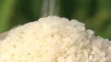 「令和の米騒動」今年も多くの人を翻弄・収束はいつに…消費者、生産者、販売店、JAに聞く【岡山】