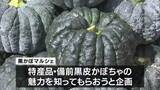 「「旬の"備前黒皮かぼちゃ"を楽しんで」日本一のだがし売場で「黒かぼマルシェ」【岡山・瀬戸内市】」の画像1