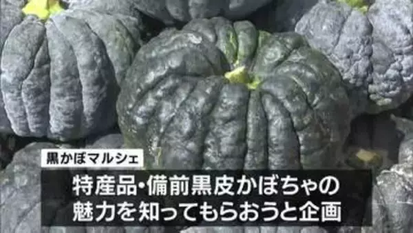 「旬の"備前黒皮かぼちゃ"を楽しんで」日本一のだがし売場で「黒かぼマルシェ」【岡山・瀬戸内市】