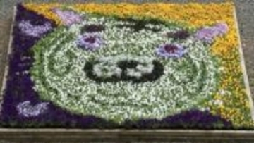 「動物や花に触れて」池田動物園でパンジーやビオラなど約3万本の春の花　ホワイトタイガーの顔の花絵なども【岡山】