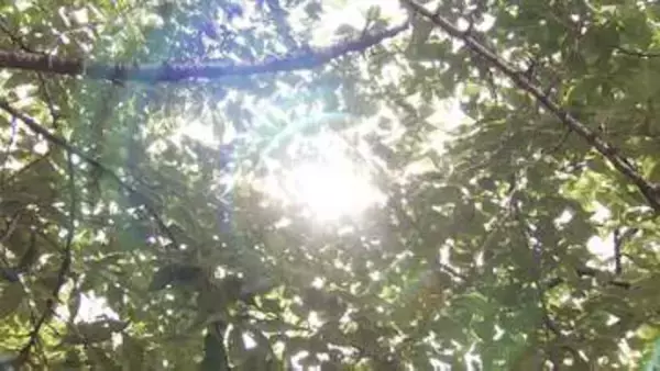岡山・香川でも朝から各地で30℃超　午前11時に高梁で34.2℃　岡山で33.7℃　高松で33.0℃など