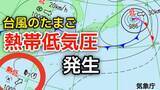 「【台風情報】新たな台風のたまご「熱帯低気圧」が日本の南西で発生　進路は北東へゆっくりの速さで進み見込み　気象情報に注意【気象庁】」の画像1