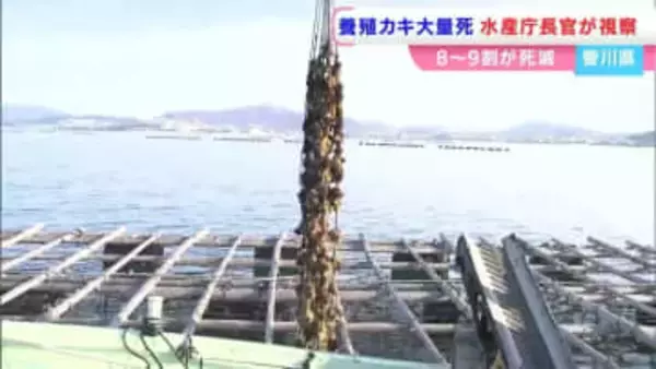 養殖カキの大量死　水産庁の藤田仁司長官らが香川県の産地を視察　「日本周辺の海が変化している」