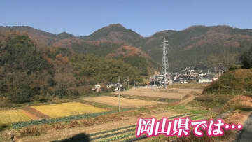 岡山県では11月の「クマ」の出没数が「ゼロ」　昨年は19件だったのになぜ？専門家に理由と対策を聞いた