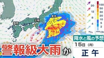 【警報級の大雨か】南岸低気圧が本州付近を北上、14日（日）～15日（月）では東⽇本から⻄⽇本にかけての太平洋側などで大雨のおそれ...今後の気象情報に注意…雨風シミュレーションで確認【気象庁11日】