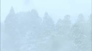 強い寒気が流れ込み瀬戸内地方は強風や雪　岡山県北では積雪と厳しい冷え込み　交通機関への影響も【岡山】