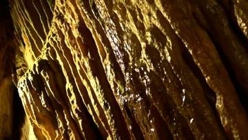 「気温14度」真夏でも涼しい鍾乳洞「満奇洞」想像以上に涼しくて心地よいと観光客に人気【岡山】