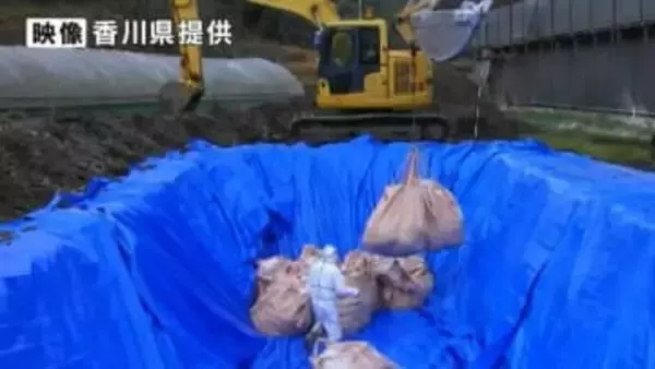 東かがわ市の養鶏場で発生した高病原性鳥インフルエンザの防疫措置が12日午後2時完了　香川県が発表