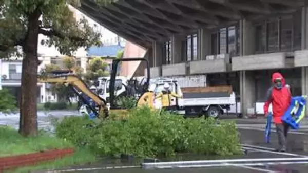 民間団体が保存を求めていた「船の体育館」の解体工事が始まる　樹木の伐採から着手【香川】