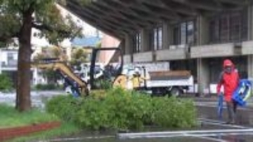 民間団体が保存を求めていた「船の体育館」の解体工事が始まる　樹木の伐採から着手【香川】