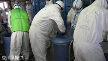 東かがわ市の養鶏場「高病原性鳥インフルエンザ」陽性と確定　ニワトリ約2万4000羽の殺処分など防疫措置実施【香川】