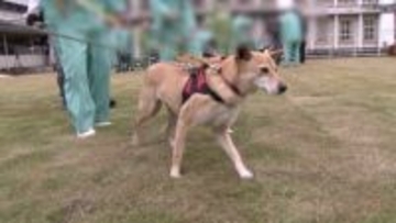 刑務所で新たな取り組み　受刑者が保護犬と触れ合う新たな更生プログラム始まる【岡山】