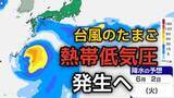「【台風情報】台風のたまご「熱帯低気圧」が今夜（25日）発生へ　今後の進路、日本への影響は？25日（月）～6月2日（火）までの天気シミュレーション【気象庁 25日最新情報】」の画像1