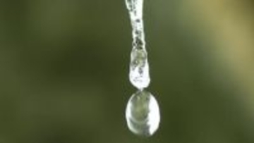 「つららからひとしずくの瞬間」雪に覆われた岡山県北「不動滝」水しぶきが凍り、岩肌に無数の「つらら」垂れ下がる