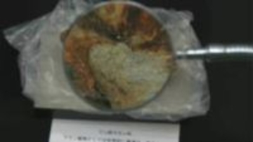 「くらしを支えた岡山の石たち」ベンガラの材料、磁硫鉄鉱や笠岡市の花こう岩、備前市の流紋岩など展示【40】