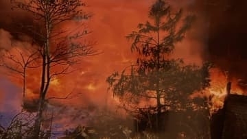 「一つの火が一気に燃え広がって街を変えてしまう」大規模な林野火災から約1年、火災の予防を呼びかける展示【岡山】