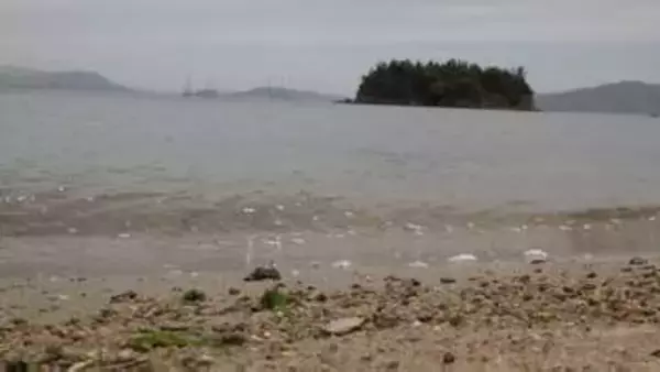 胸上浜が環境省の「自然共生サイト」に認定　漁場の再生に取り組む活動を評価【岡山・玉野市】