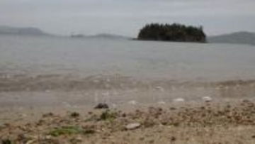 胸上浜が環境省の「自然共生サイト」に認定　漁場の再生に取り組む活動を評価【岡山・玉野市】