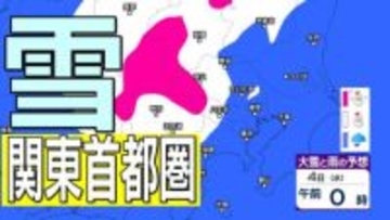 【関東首都圏でも積雪か】東京・神奈川・千葉・埼玉・茨城・栃木・群馬・山梨・長野　関東エリア　3日（火）～8日（日）3時間ごとの雪雨シミュレーション　関東地方北部の平地８センチの積雪予想【気象庁/3日午後4時シミュレーション更新】
