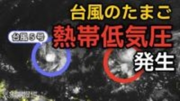 【台風情報】台風のたまご「熱帯低気圧」が新たに発生...今後の進路、日本への影響は？「台風5号（ハグピート）」はいまどこ？8日（金）～13日（水）雨風シミュレーション画像で詳しくみる【気象庁 8日午後10時更新】