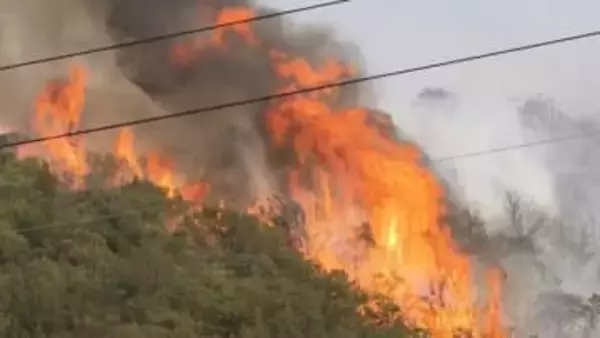 「焼損面積486ヘクタール」去年3月、岡山県内で発生した大規模山林火災　岡山市消防局が原因を公表　1965年以降、県内で最大の被害