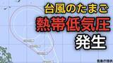 「【台風情報】台風のたまご「熱帯低気圧」が発生 台風に発達する見込み 31日（日）には日本の南で最大瞬間風速45メートル予想　今後の進路、日本への影響は？6月5日（金）にかけての雨シミュレーション【気象庁 26日最新情報】」の画像1
