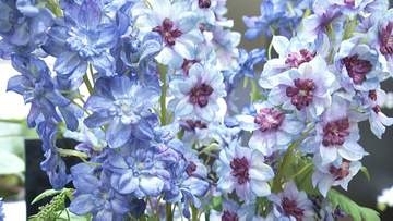 本物そっくりの造花 “アートフラワー” に注目　敬老の日のギフトにもぴったり【岡山】