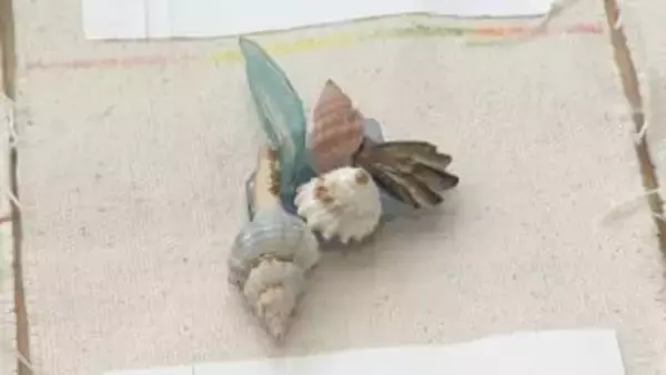 能登半島地震の被災地の中学生と香川県の中学生が美術作品で交流　復興願い高松市美術館で作品展