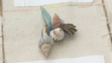 能登半島地震の被災地の中学生と香川県の中学生が美術作品で交流　復興願い高松市美術館で作品展