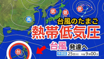 【台風情報】「台風のたまご」熱帯低気圧が発生　きょう（25日）にも台風に発達へ　今後の進路は？　25日（火）～30日（日）雨風シミュレーション＆全国各地の16日間天気予報【気象庁 25日午前8時半更新】